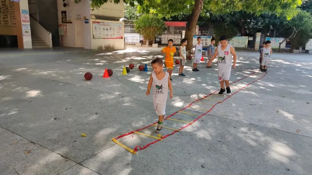 篮球训练法读后感怎么写_1